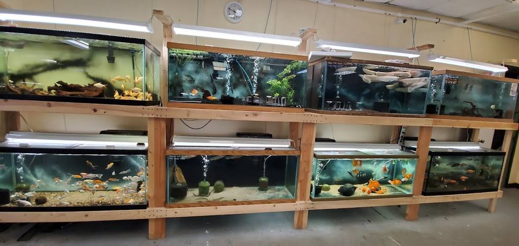 Quality Aquatics Pet Shop | Unit #4, 9205 Lexington Ave NE, Circle Pines, MN 55014, USA | Phone: (763) 780-3474