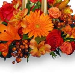 Ousleys Harvest Gardens | 115 S Park Ave, Alexandria, IN 46001, USA | Phone: (765) 724-4306