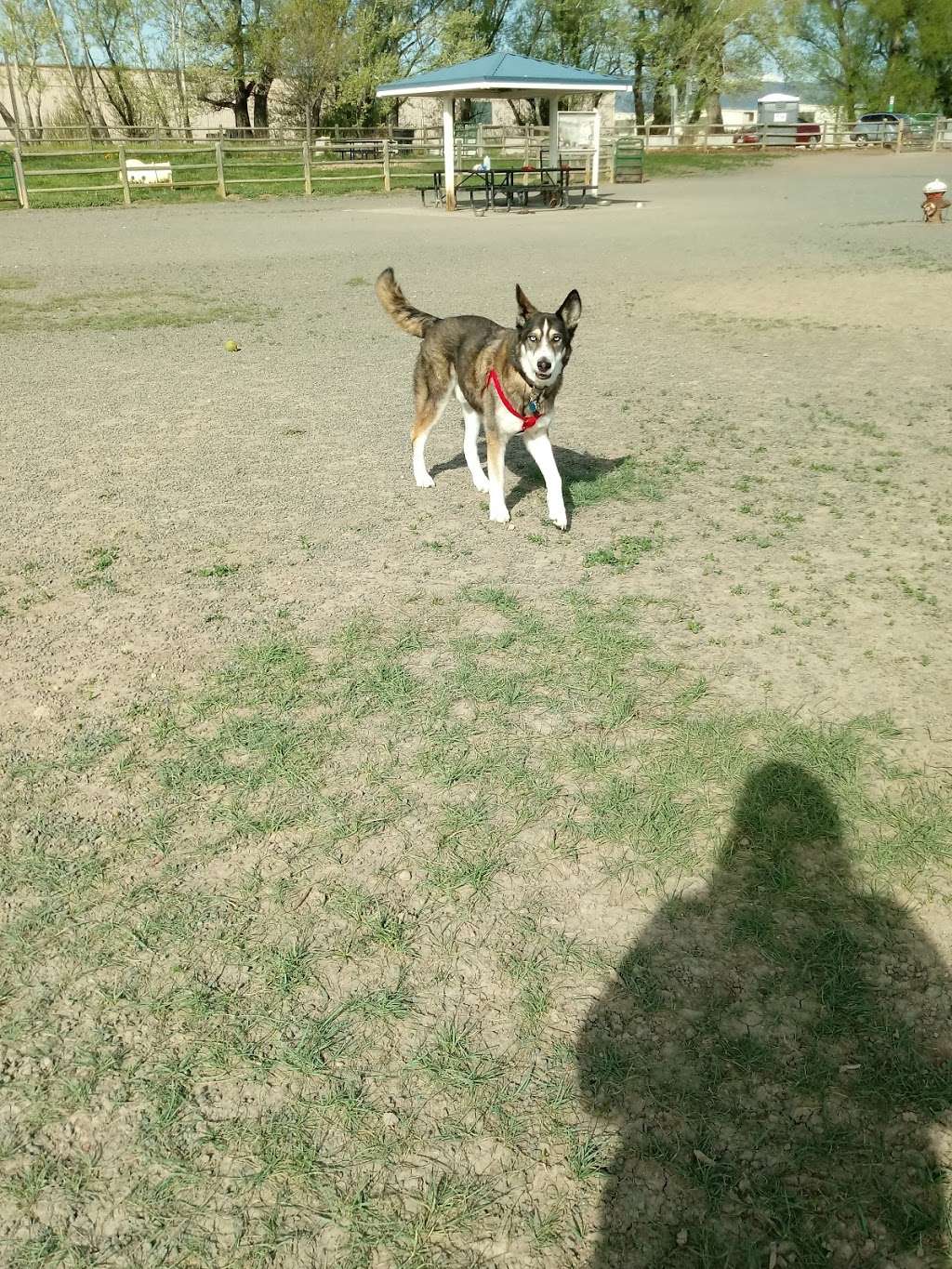 City of Longmont Dog Park #2 | Airport Rd & St Vrain Rd, Longmont, CO 80503, USA | Phone: (303) 651-8416