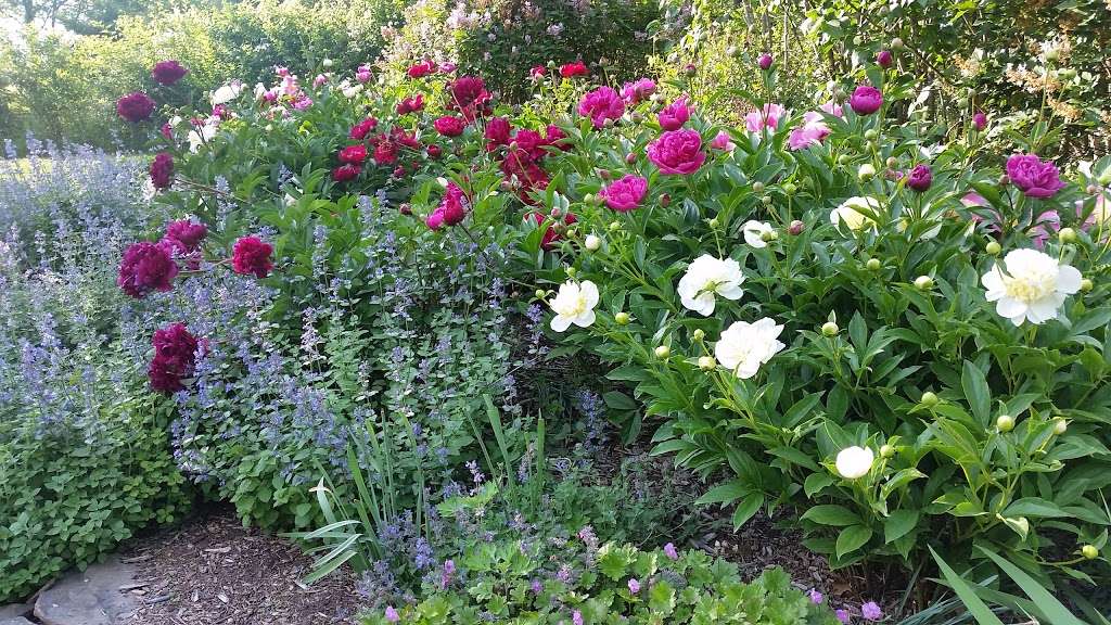 Acton Arboretum | 2 Taylor Rd, Acton, MA 01720, USA | Phone: (978) 264-9631