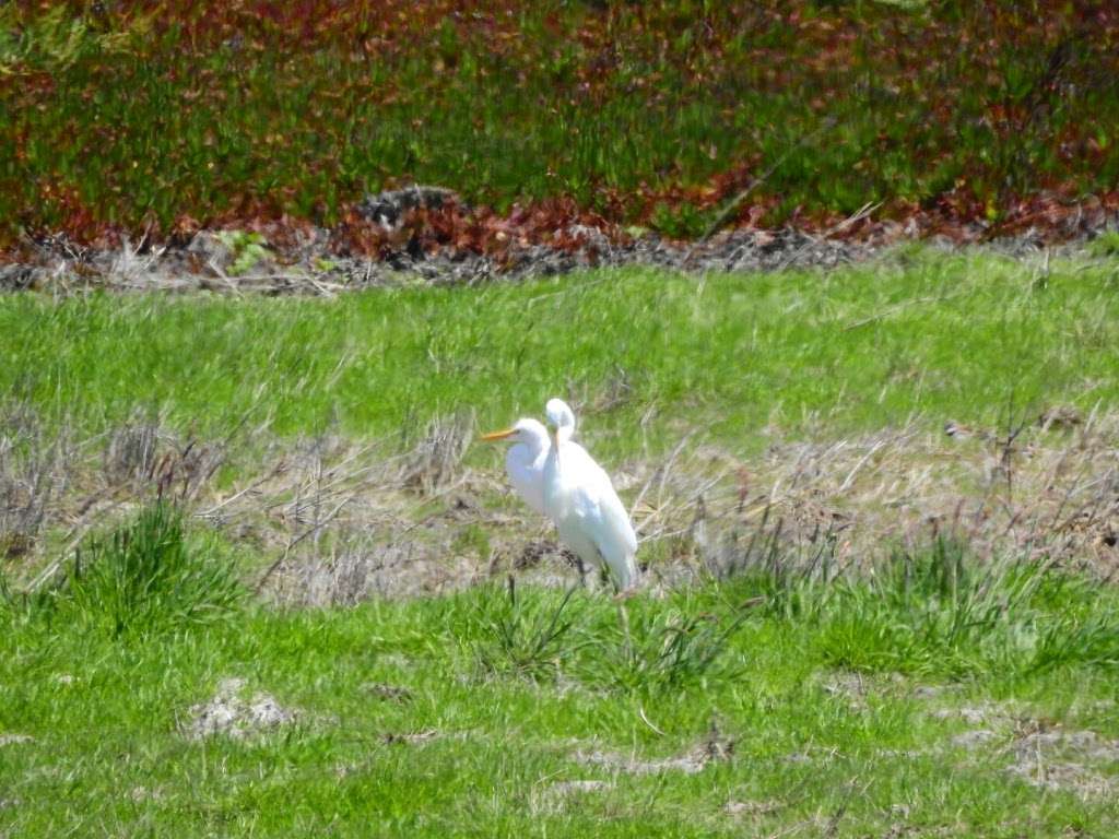 Birdwalk Coastal Access Trail | 355 CA-1, Bodega Bay, CA 94923, USA | Phone: (707) 875-3540