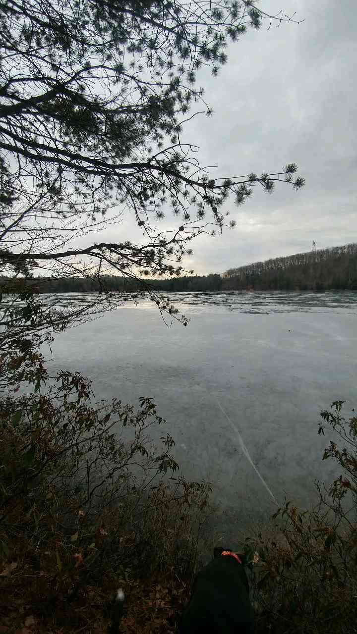 Beaver Trail Trailhead | Birch Run Rd, Fayetteville, PA 17222, USA