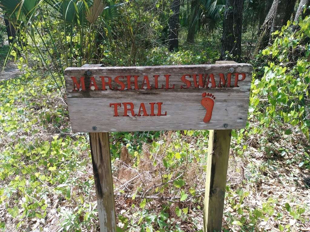 Marshall Swamp Trailhead | 8282 SE Hwy 314, Ocala, FL 34470, USA | Phone: (352) 671-8560