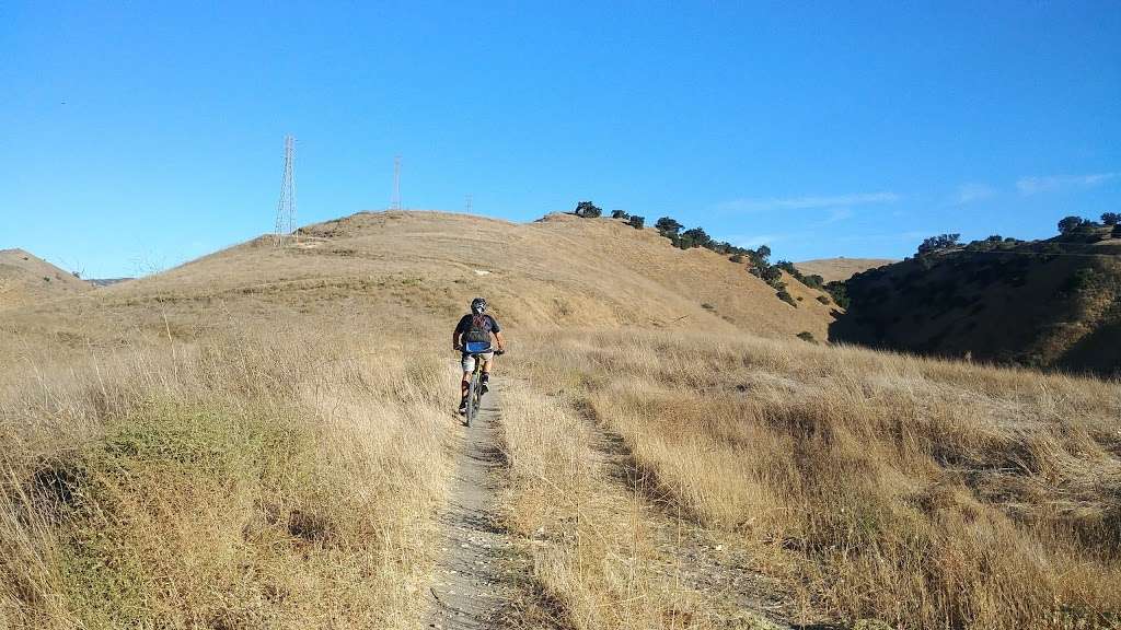 Upper Las Virgenes Cyn Open Space Preserve LV Trailhead | Las Virgenes Rd, Calabasas, CA 91302, USA | Phone: (310) 589-3200