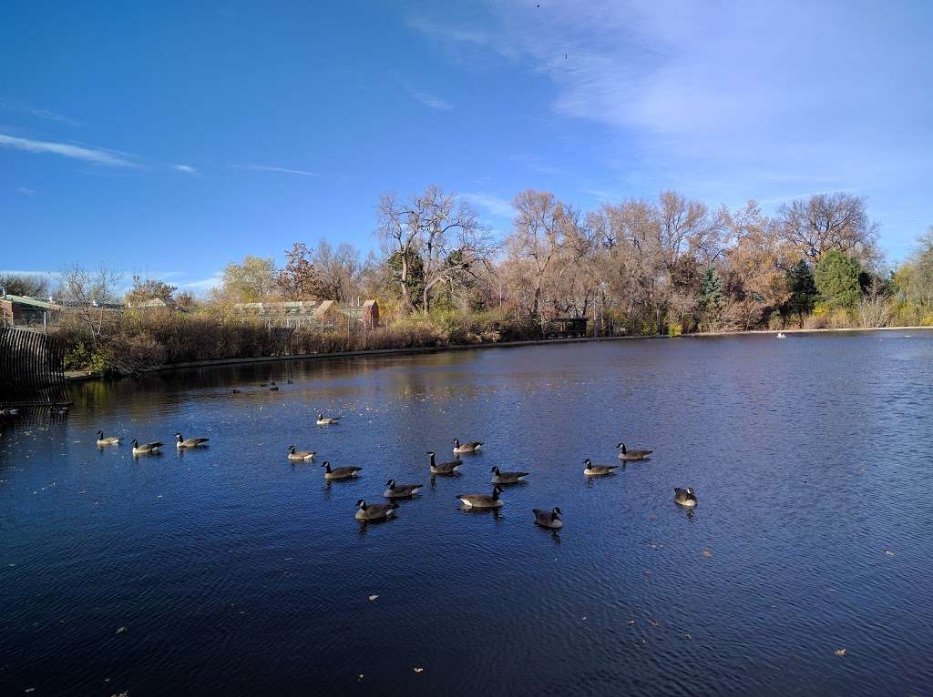 Duck Lake | Denver, CO 80205, USA | Phone: (720) 913-1311