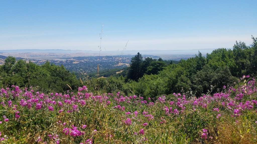 Indian Tree Open Space Preserve | Novato, CA 94947, USA