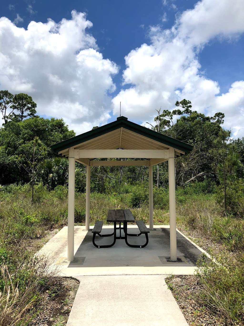 Saw Palmetto Natural Area | 7097 NW 71st St, Coconut Creek, FL 33073 | Phone: (954) 357-5100