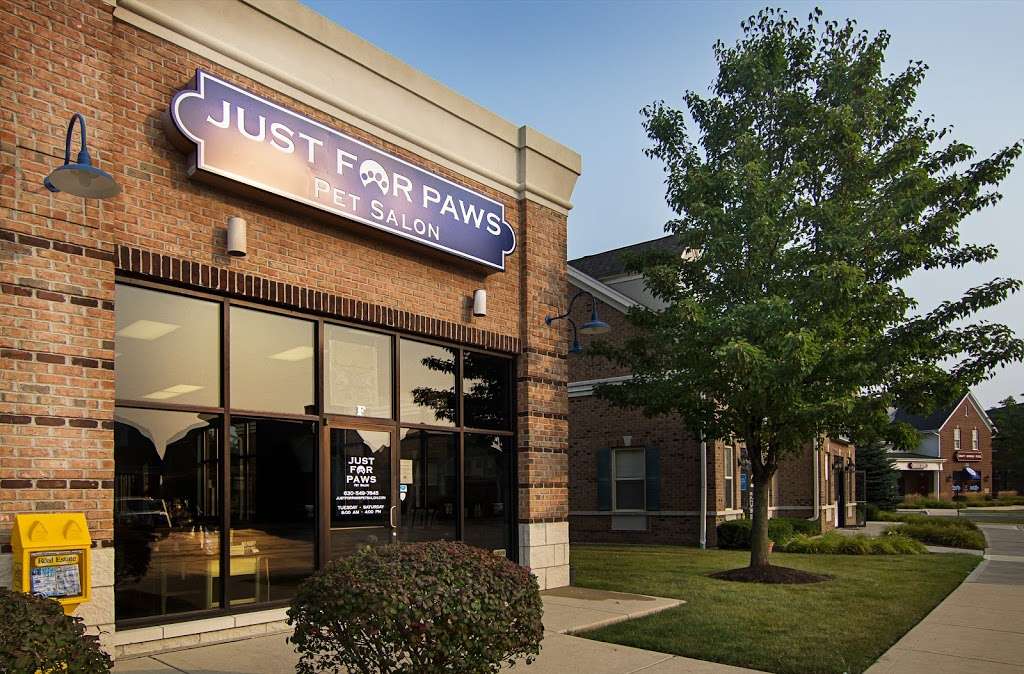 Just For Paws | 40W160 Campton Crossings Drive f, St. Charles, IL 60175, USA | Phone: (630) 549-7845