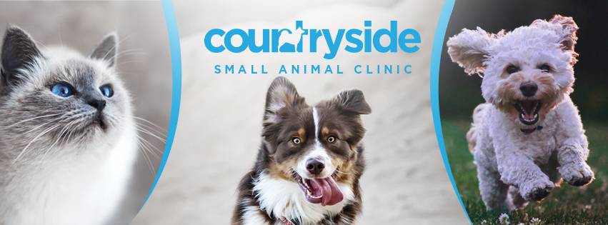Countryside Small Animal Clinic | 1306 Stevenson St, Fort Calhoun, NE 68023, USA | Phone: (402) 468-4060