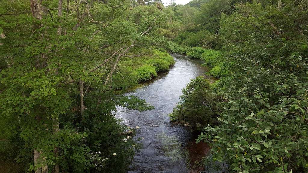 Wildlands Trust - Halfway Pond Conservation Area | Mast Rd, Plymouth, MA 02360, USA | Phone: (781) 934-9018