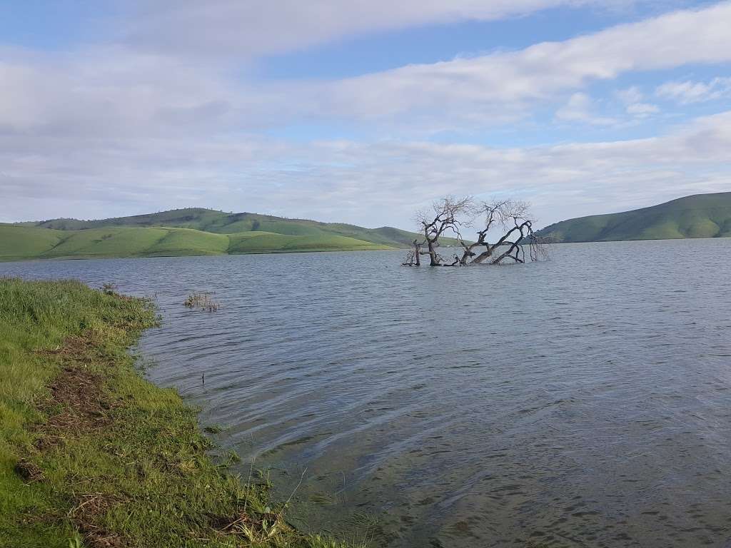 Los Vaqueros Watershed (South Entrance) | N Vasco Rd, Livermore, CA 94551, USA | Phone: (925) 371-2628