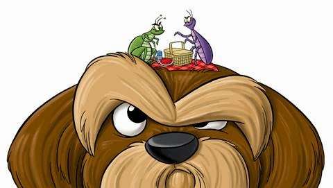 Yuppy Puppy Pet Spa & Boarding | 1653 Celanese Rd, Rock Hill, SC 29732, USA | Phone: (803) 980-7387 Yuppy Puppy Pet Spa & Boarding | 1653 Celanese Rd, Rock Hill, SC 29732, USA | Phone: (803) 980-7387