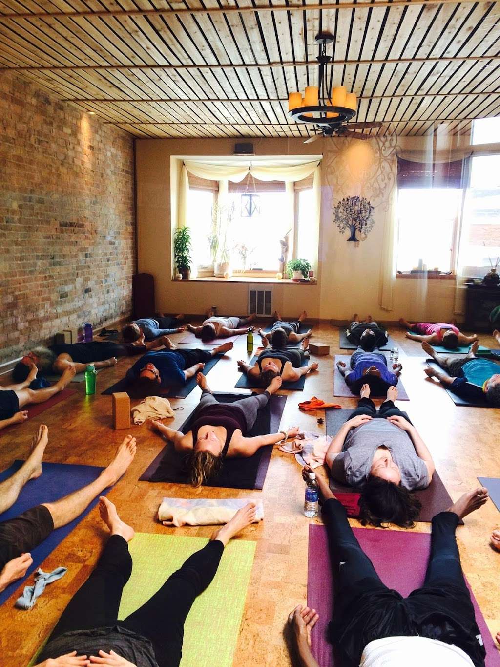 Yoga Life Studio | 2629 Cleveland Ave, St Joseph, MI 49085, USA | Phone: (269) 281-0910