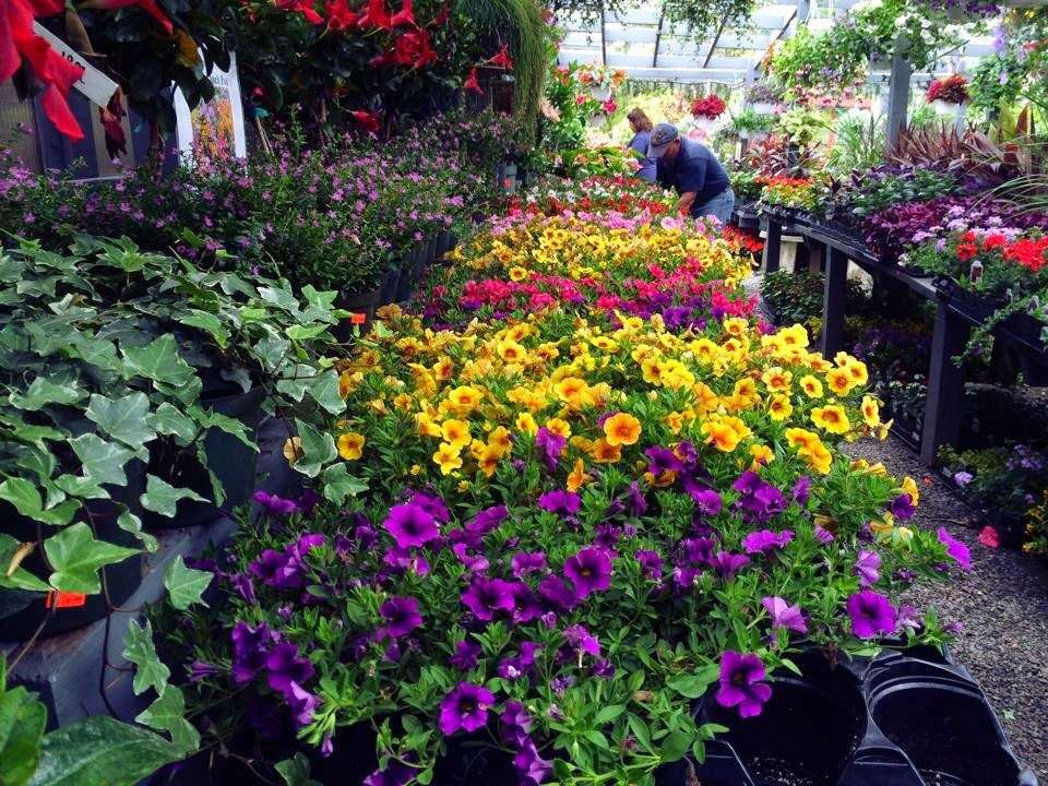 North Shore Garden Center | 53 Avenue A, Port Washington, NY 11050, USA | Phone: (516) 883-8066