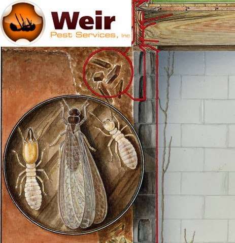 Weir Pest Services | 771 Old Donaldson Ave, Severn, MD 21144, USA | Phone: (410) 551-1178