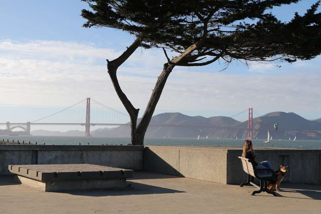 Crissy Field | San Francisco, CA 94129, USA