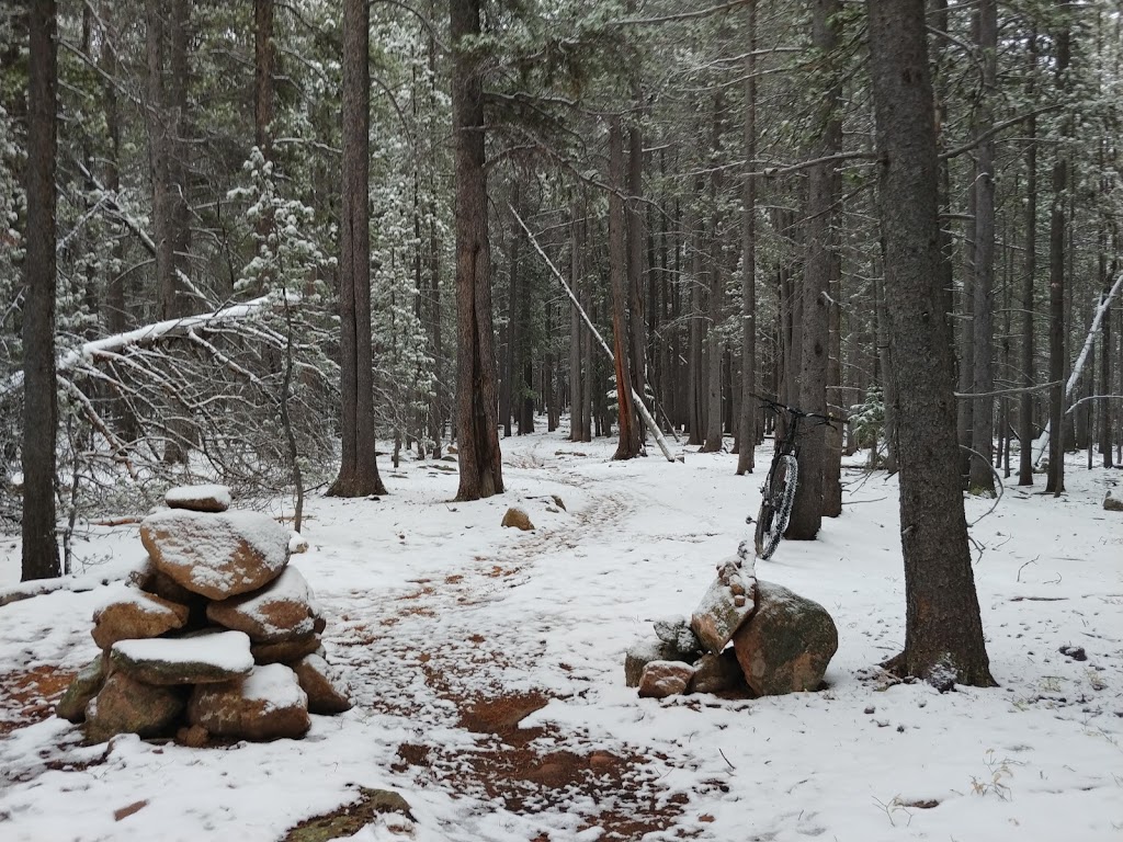 Cub Creek Trail Head | Club Creek Trail, Evergreen, CO 80439, USA