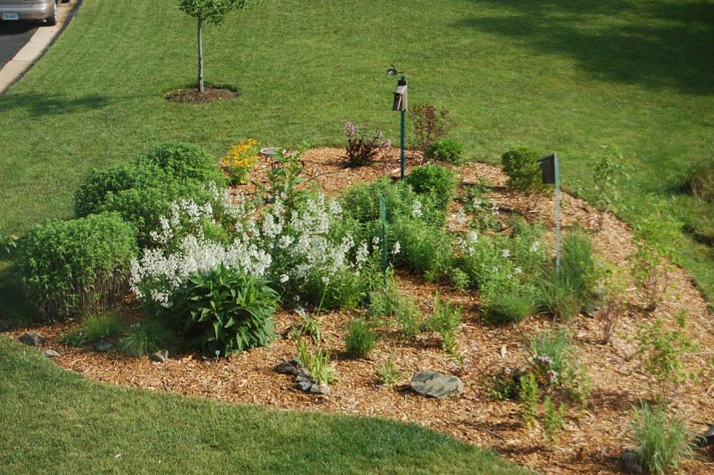 Cloverleaf Native Plant Demo Garden | Cloverleaf Ct, Ashburn, VA 20148, USA