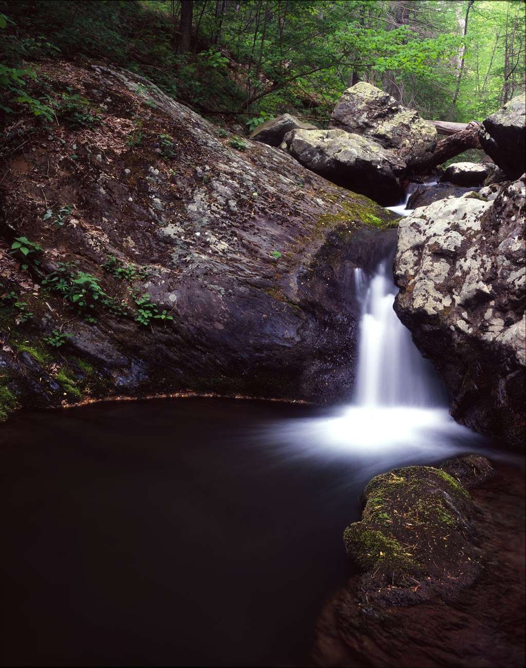 Range View Cabin | US 522 Mile 19.4, Sperryville, VA 22740, USA | Phone: (540) 999-3500