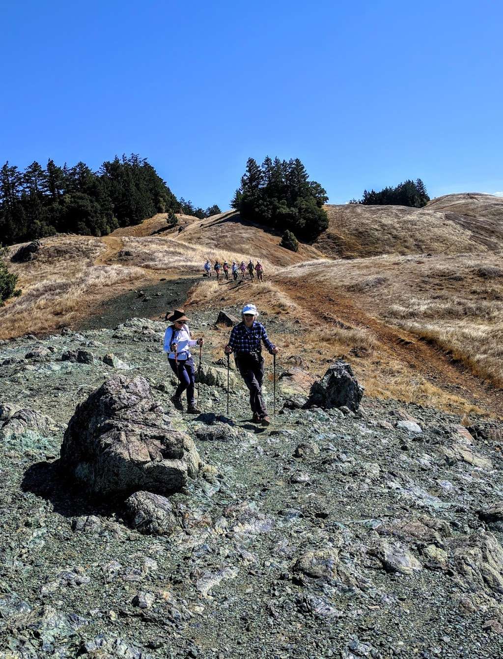 Rock Spring Trailhead | W Ridgecrest Blvd, Stinson Beach, CA 94970