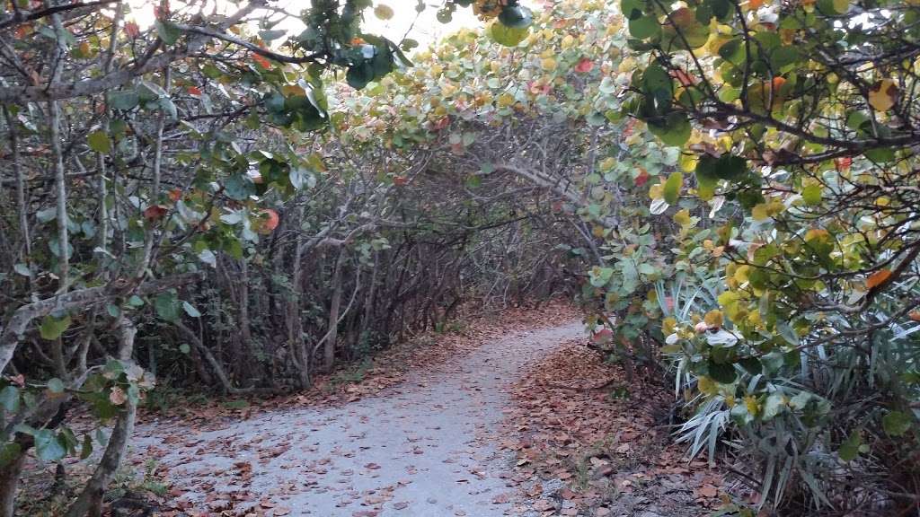 Nature Conservancy Blowing Rocks | 575 S Beach Rd, Hobe Sound, FL 33455, USA | Phone: (561) 744-6668