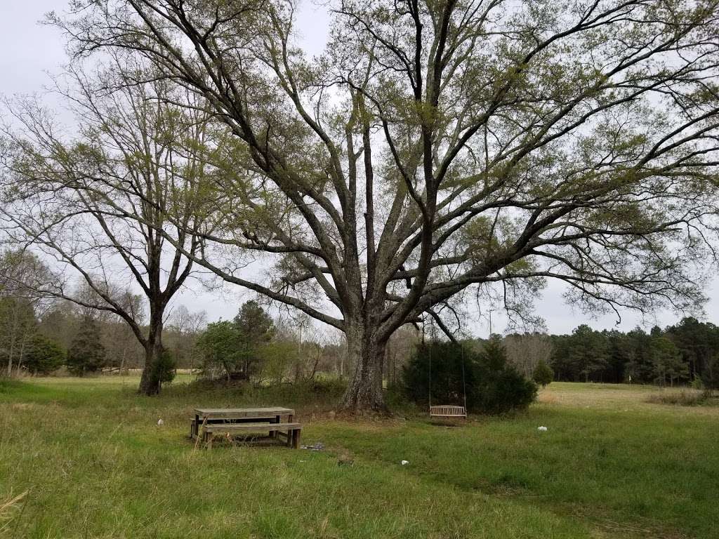 Rock Hill Blackjacks Heritage Preserve/Wildlife Management Area | Rock Hill, SC 29730 | Phone: (803) 734-3886