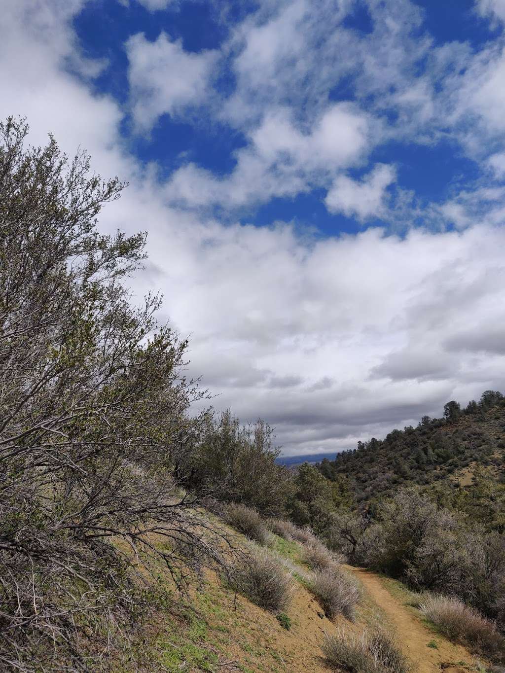 Reyes Creek Trailhead | Maricopa, CA 93252, USA