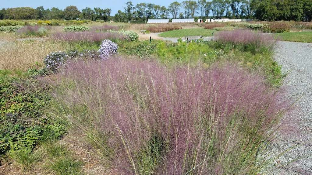 Delaware Botanic Gardens at Pepper Creek | Piney Neck Rd, Dagsboro, DE 19939, USA | Phone: (202) 262-9856