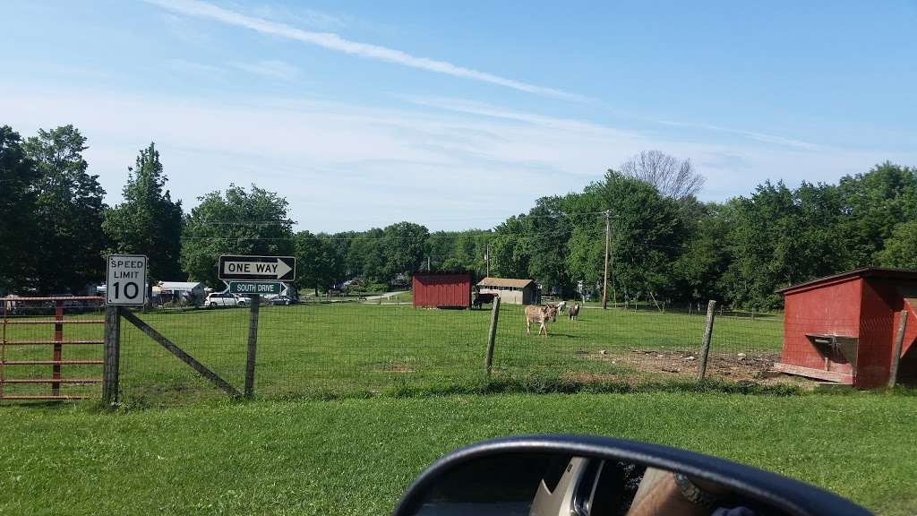 Pleasant Acres Farm Campground | 61 Dewitt Rd, Sussex, NJ 07461, USA | Phone: (973) 875-4166