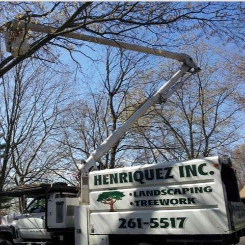 Henriquez Tree Work & Landscaping Inc. | 25 Oswego Dr, Greenlawn, NY 11740 | Phone: (631) 767-5129