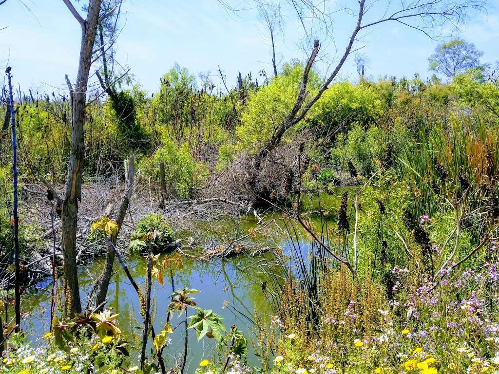 Tijuana River County Open Space Preserve | 2721 Monument Rd, San Diego, CA 92154, USA | Phone: (619) 428-2946