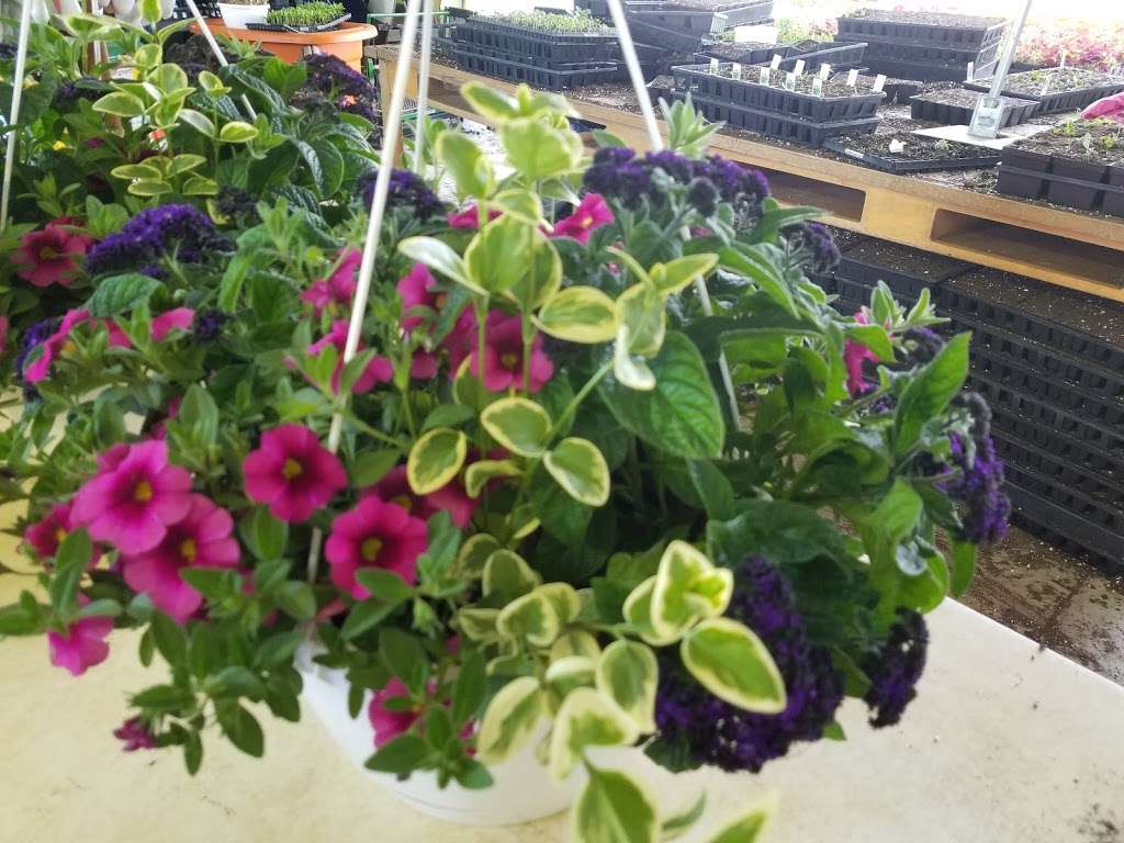 Frey's Garden Center in 5193 PA419, Womelsdorf, PA 19567, USA