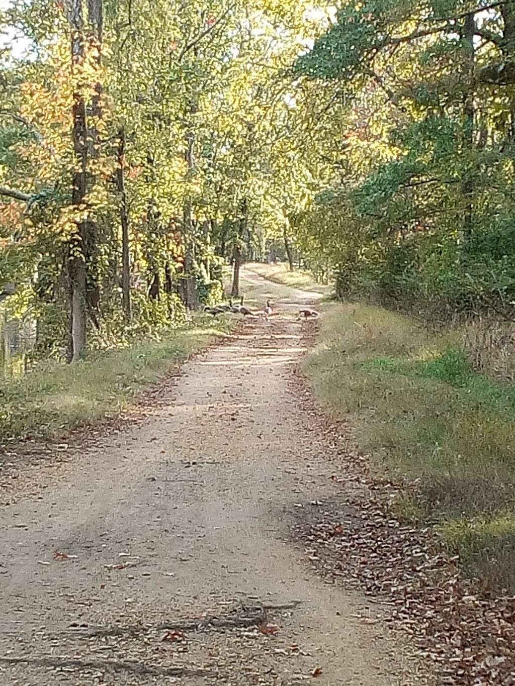 Delaware and Raritan Canal State Park Trail, South Bound Brook,  | 169 Canal Rd, South Bound Brook, NJ 08880, USA | Phone: (609) 924-5705