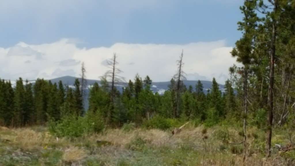 Magnolia road Camp Site | Nederland, CO 80466, USA | Phone: (605) 265-0646