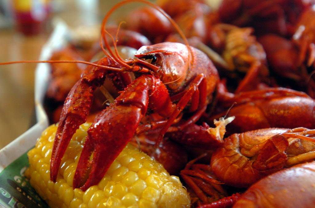 Baytown Crawfish Company and Catering | 7730 Decker Dr, Baytown, TX 77520, USA | Phone: (281) 716-0299