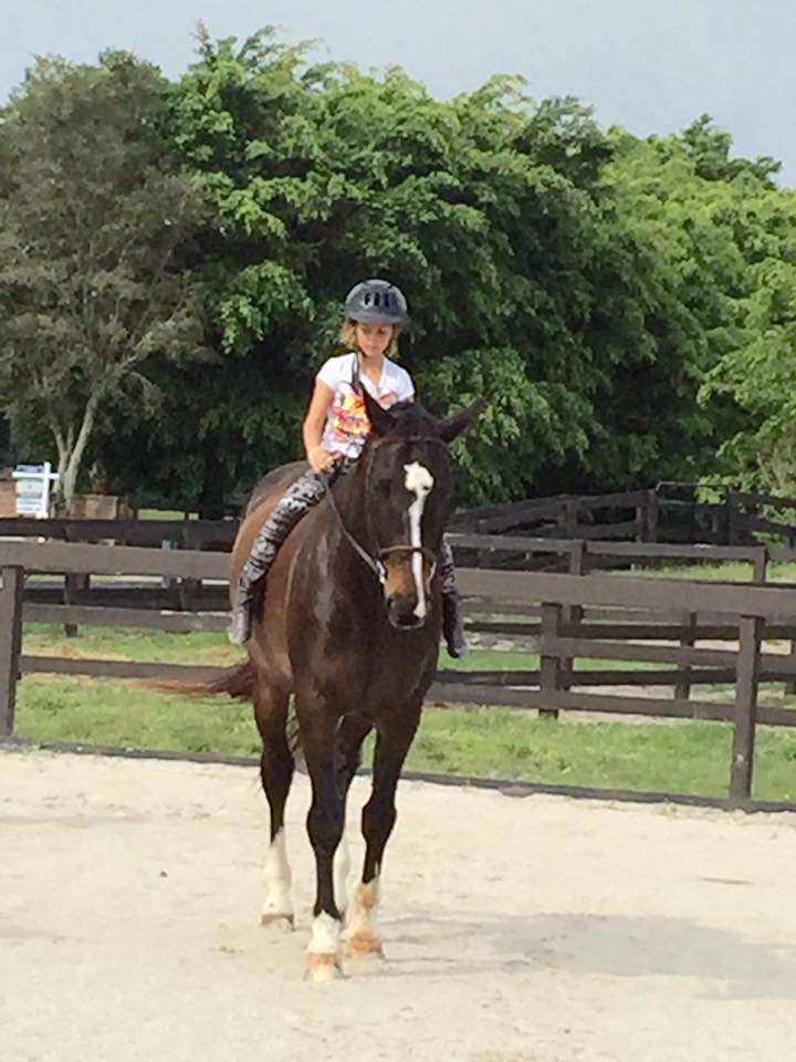 Boca Summer Horse Camp | 8656 Surrey Ln, Boca Raton, FL 33496, USA | Phone: (561) 445-3946