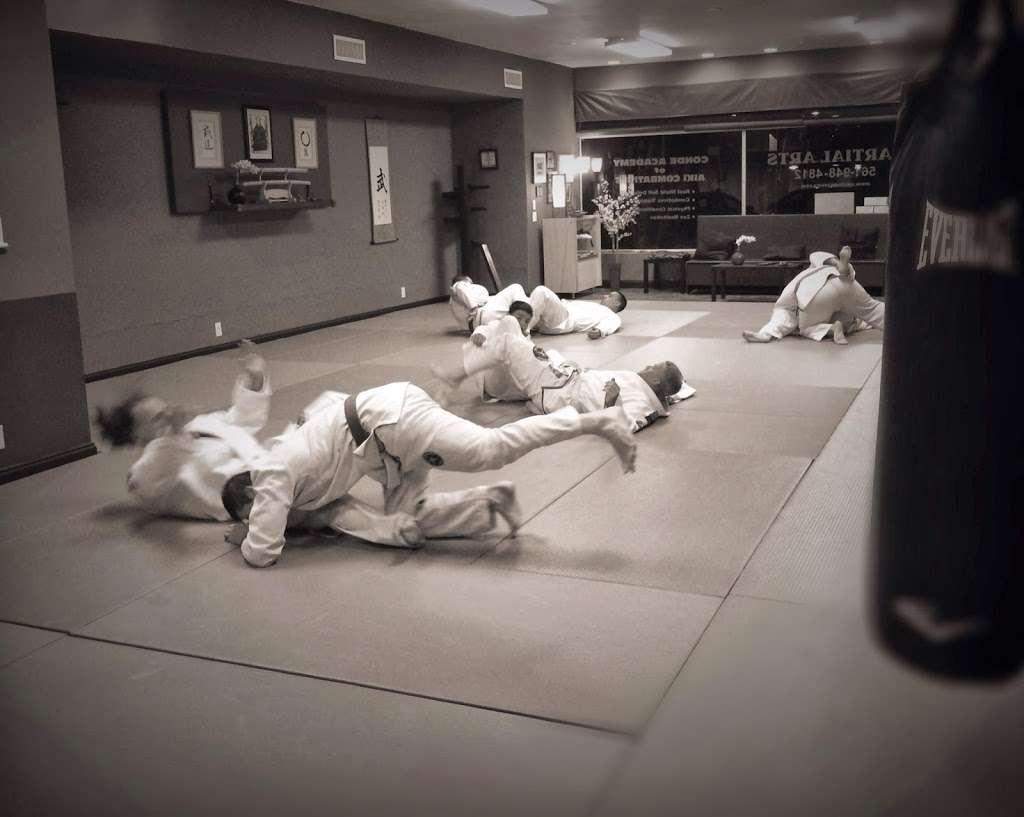 Conde Academy of Aiki Combatives | 7400 N Federal Hwy, Boca Raton, FL 33487 | Phone: (561) 948-4812