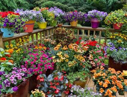 Schultes Garden Center | 811 E Wisconsin Ave, Pewaukee, WI 53072, USA | Phone: (262) 696-6342