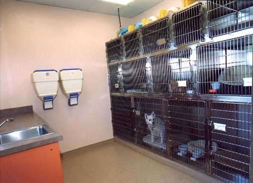 Indian Walk Veterinary Center | 662 Durham Rd, Newtown, PA 18940, USA | Phone: (215) 598-9000