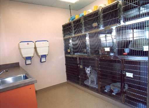 Indian Walk Veterinary Center | 662 Durham Rd, Newtown, PA 18940, USA | Phone: (215) 598-9000