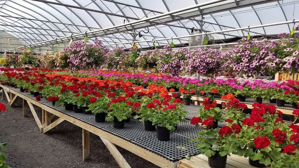 Colonial Farm Nursery | 9008 Tuscarora Pike, Martinsburg, WV 25403 | Phone: (304) 263-5232