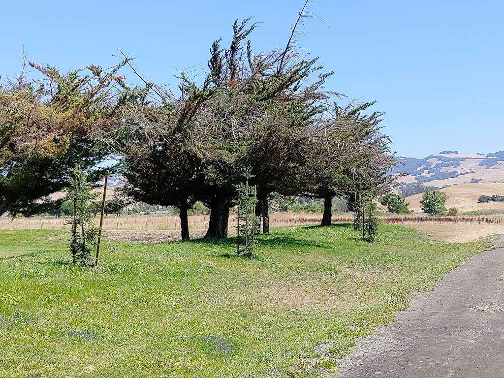 Wiseman Park | St Augustine Cir, Petaluma, CA 94954, USA | Phone: (707) 778-4380