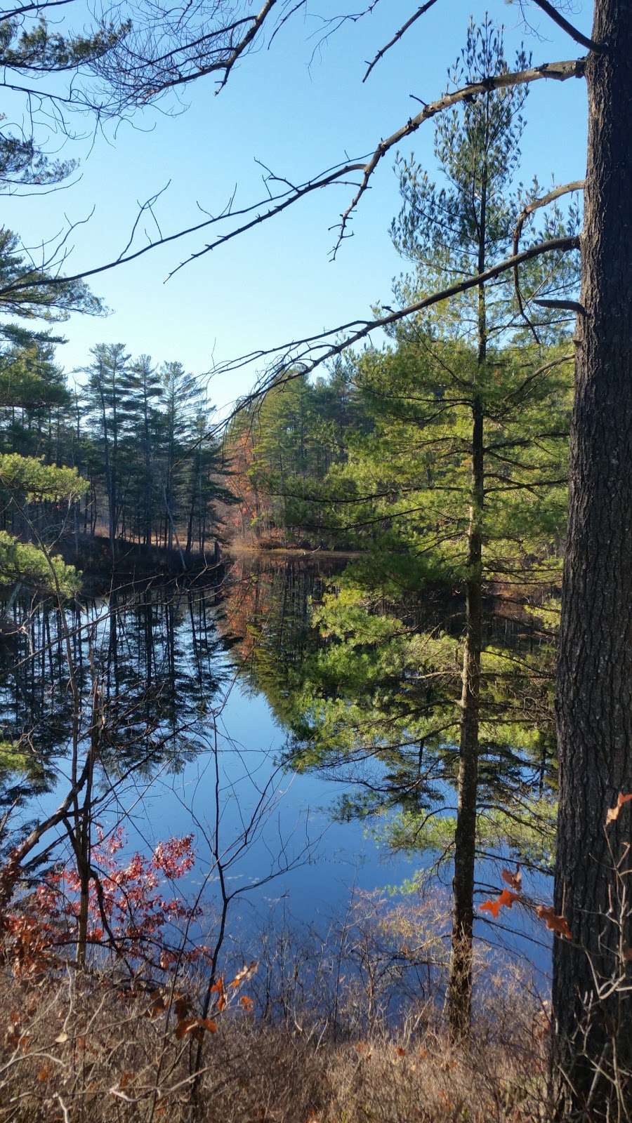 Spalding Park Town Forest | Hollis, NH 03049, USA