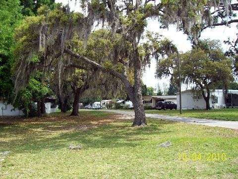 Three Palms Mobile Home Park | 15007 Old US Hwy 441, Tavares, FL 32778, USA | Phone: (321) 332-3477