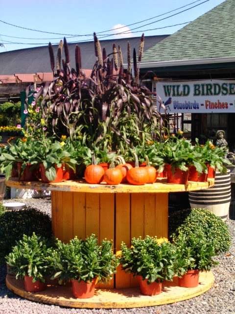 Laurel Oak Garden Center | 199 Tomlinson Mill Rd, Marlton, NJ 08053, USA | Phone: (856) 596-7779