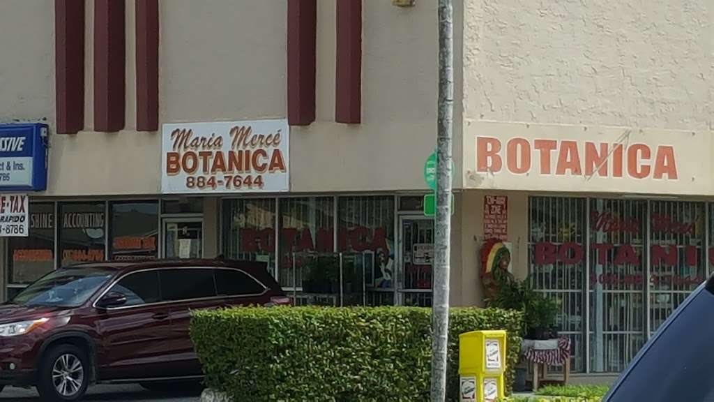 Maria Merce Botanica | 1925 E 4th Ave #1, Hialeah, FL 33010, USA | Phone: (305) 884-7644