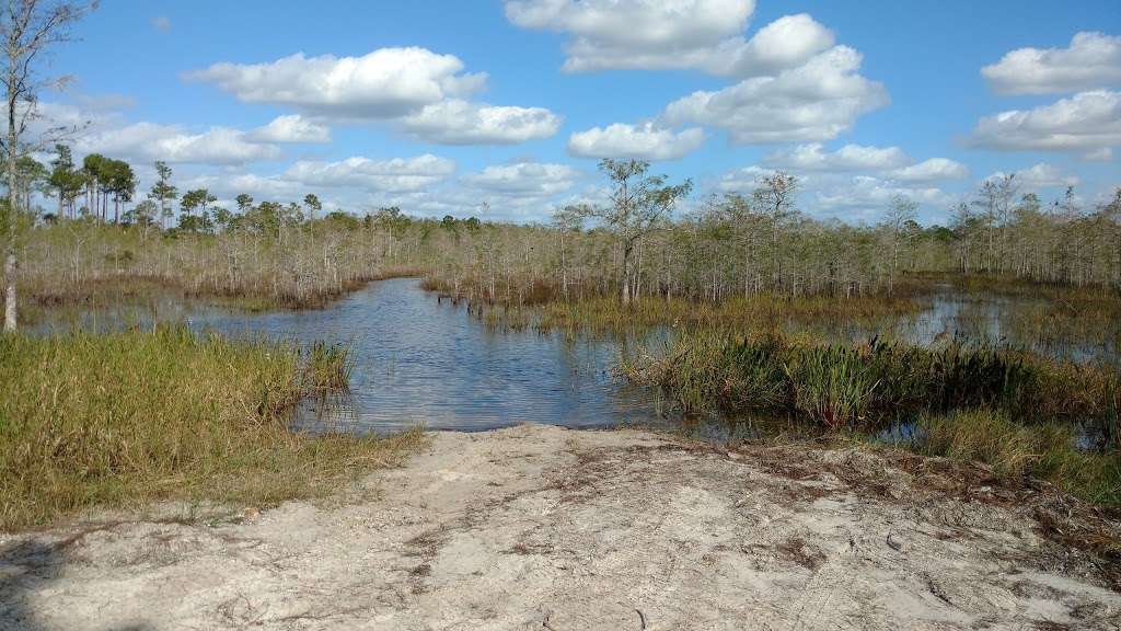 J.W. Corbett Wildlife Management Area | 11835 Seminole Pratt Whitney Rd, West Palm Beach, FL 33412, USA | Phone: (561) 625-5122