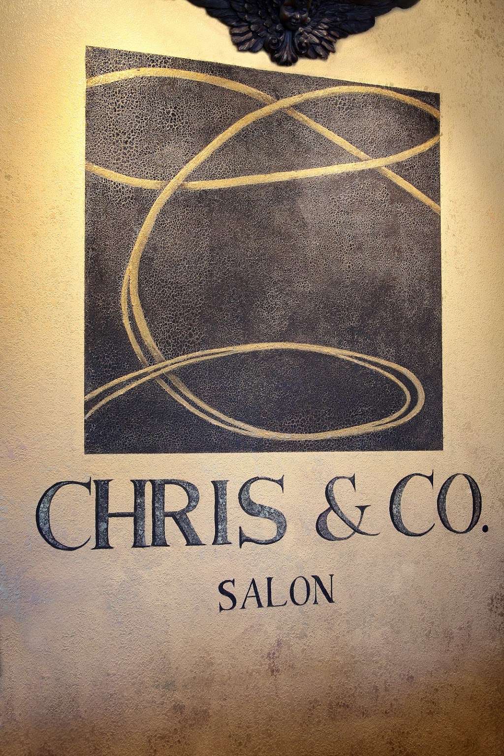 Chris & Co Salon | 2732 Hillside Dr, Delafield, WI 53018, USA | Phone: (262) 646-5888