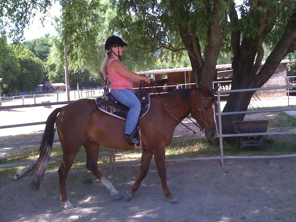 Horse Sense Education & Advocacy | Covered Bridge Equestrian Center, 220 Covered Bridge Rd N, Felton, CA 95018, USA | Phone: (831) 316-4773