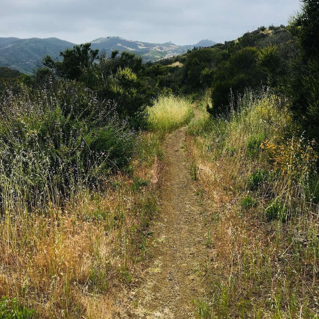 Backbone Trail - Trancas Canyon Trailhead | 2500-2512 Trancas Canyon Rd, Malibu, CA 90265